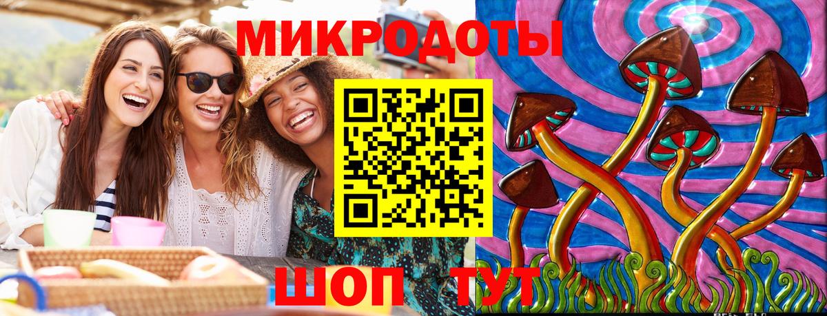 Псилоцибиновые грибы ЛСД  даркнет сайт  Псилоцибиновые грибы Psilocybine cubensis  Ахтубинск  Вход с VPN 